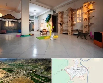 پانسیون گربه در اسدآباد