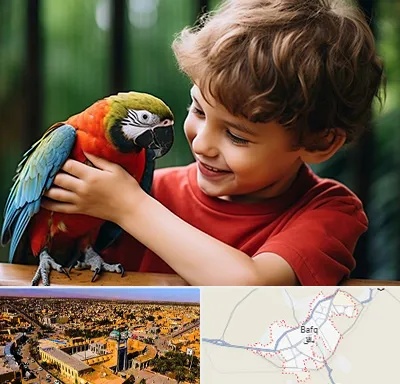 پانسیون پرندگان در بافق