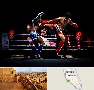 باشگاه موی تای در میبد
