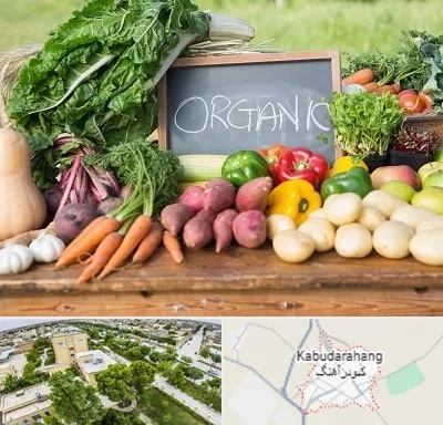 فروشگاه محصولات ارگانیک در کبودراهنگ