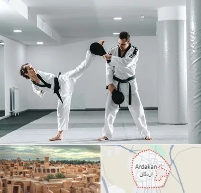 باشگاه رزمی در اردکان
