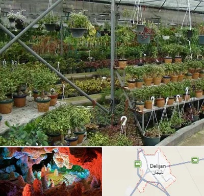 بازار گل و گیاه در دلیجان