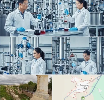 صنایع شیمیایی در کنگاور