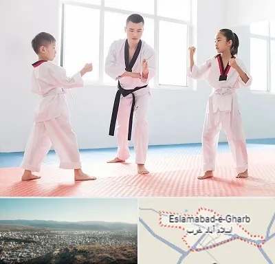 مربی رزمی در اسلام آباد غرب