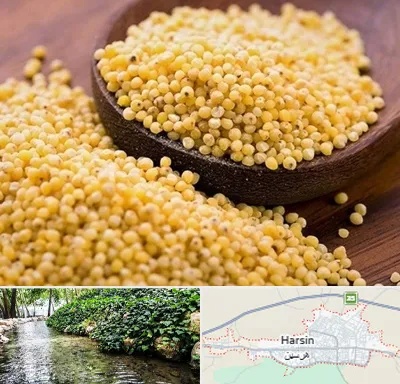 فروش ارزن در هرسین
