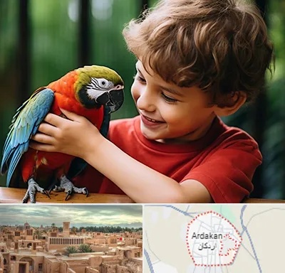 پانسیون پرندگان در اردکان