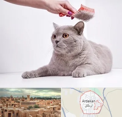 آرایشگاه گربه در اردکان