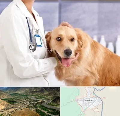 کلینیک دامپزشکی شبانه روزی در اسدآباد