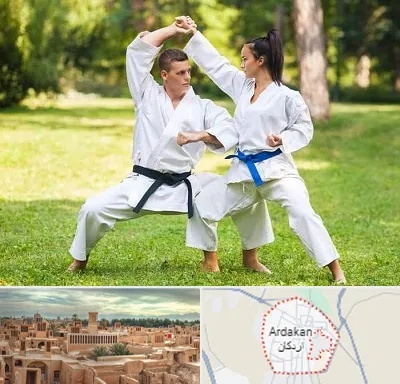 باشگاه هاپکیدو در اردکان