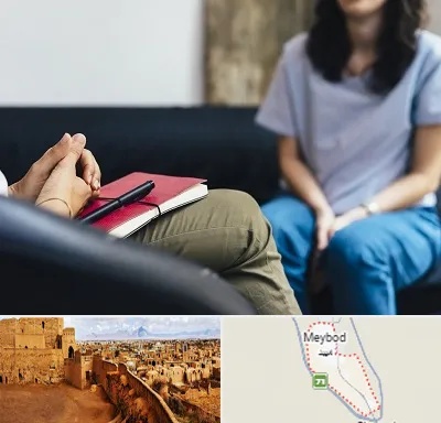 تراپیست در میبد