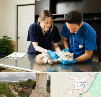 دامپزشکی سیار در کنگاور