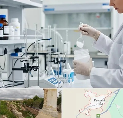 فروش زانتان گام در کنگاور