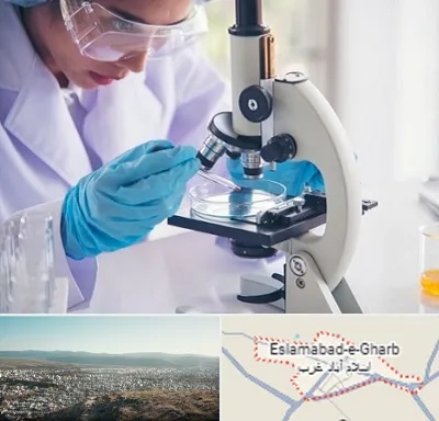 آزمایشگاه در اسلام آباد غرب