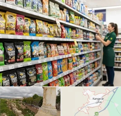 فروش غذای ماهی در کنگاور