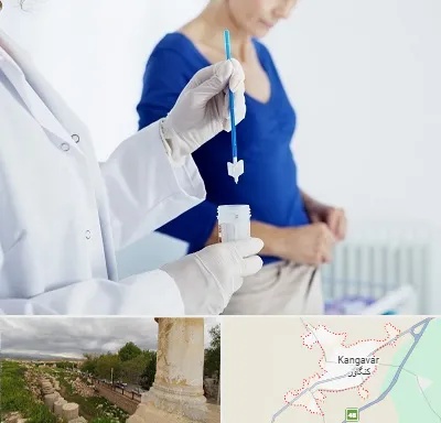 آزمایشگاه پاپ اسمیر در کنگاور