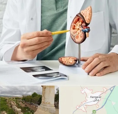 دکتر اورولوژیست در کنگاور