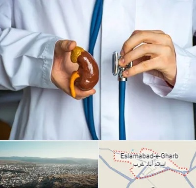دکتر سرطان کلیه در اسلام آباد غرب