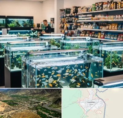 فروش ماهی آکواریوم در اسدآباد
