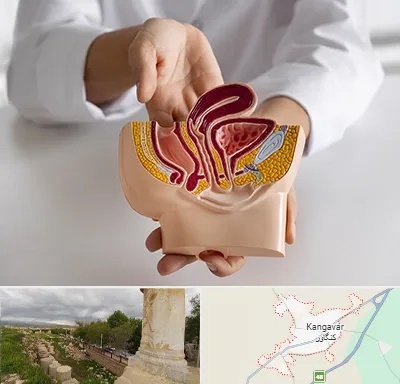 دکتر دستگاه تناسلی مردان در کنگاور