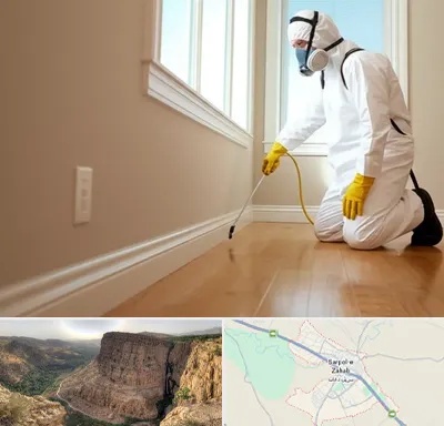 سمپاشی منازل در سرپل ذهاب