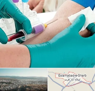 آزمایشگاه در منزل در اسلام آباد غرب