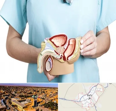 فوق تخصص دستگاه تناسلی مردان در بافق