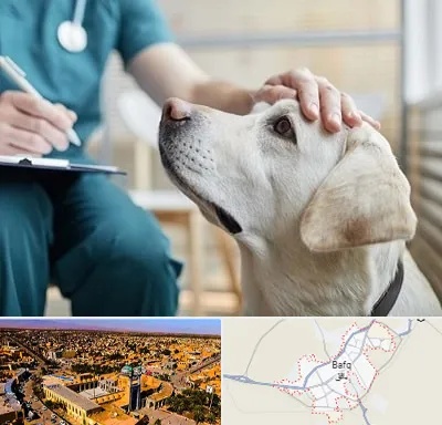 کلینیک دامپزشکی در بافق