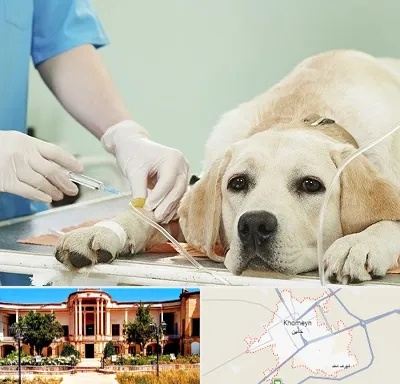 دامپزشک جراح در خمین