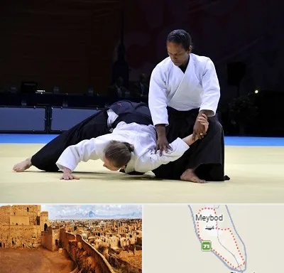 باشگاه آیکیدو در میبد