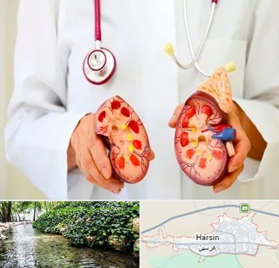 دکتر سنگ کلیه در هرسین