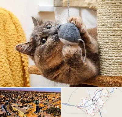 خرید اسباب بازی گربه در بافق