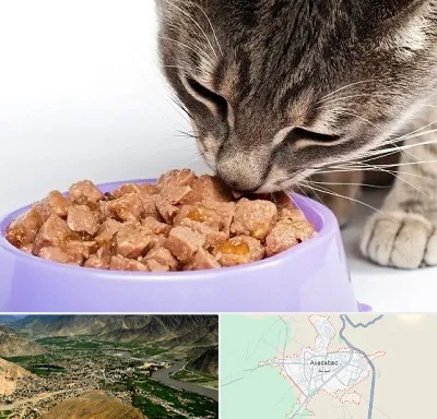 فروشگاه غذای گربه در اسدآباد
