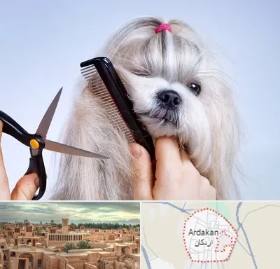 آرایشگاه حیوانات خانگی در اردکان