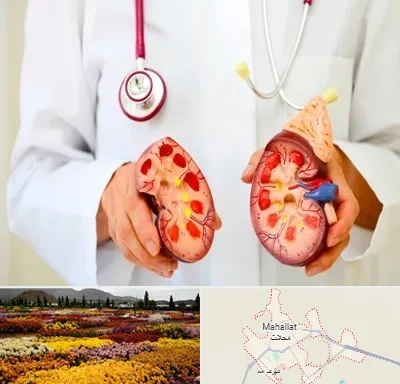 دکتر سنگ کلیه در محلات