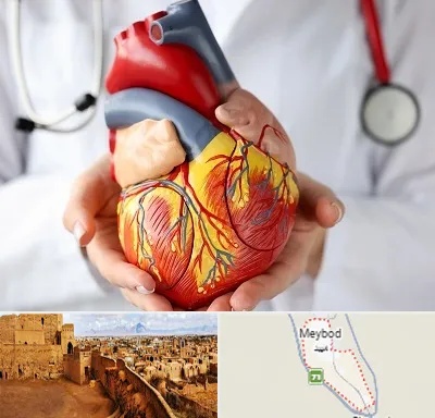دکتر متخصص قلب و عروق در میبد