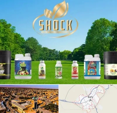 نمایندگی کود شوک در بافق