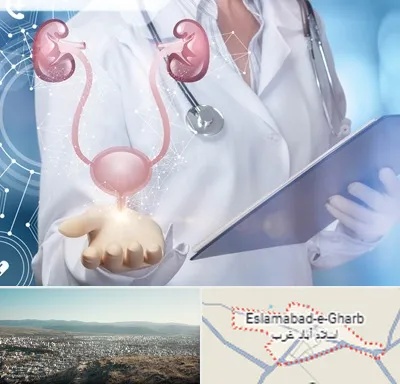 متخصص اورولوژی خانم در اسلام آباد غرب