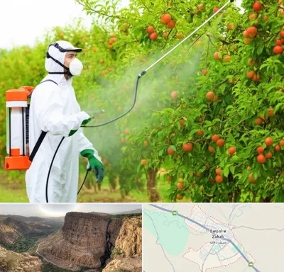 سمپاشی درختان در سرپل ذهاب