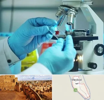 آزمایشگاه با جواب فوری در میبد