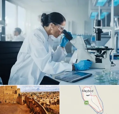 آزمایشگاه HPV در میبد