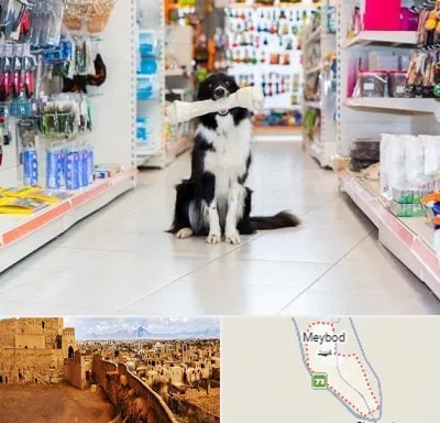 پت شاپ در میبد