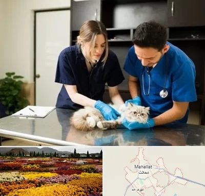 دامپزشکی سیار در محلات