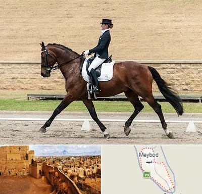 باشگاه سوارکاری بانوان در میبد