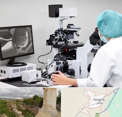 آزمایشگاه اسپرموگرام در کنگاور