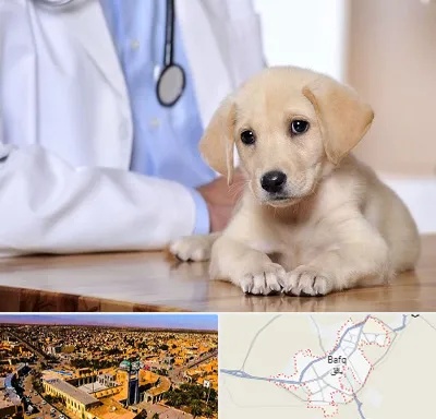 بیمارستان دامپزشکی در بافق