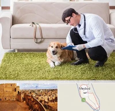 دامپزشکی در منزل در میبد