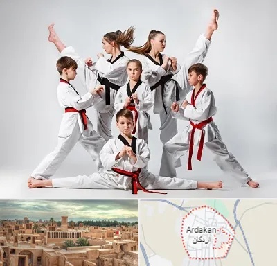باشگاه کاراته در اردکان