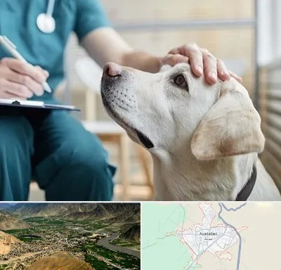 کلینیک دامپزشکی در اسدآباد