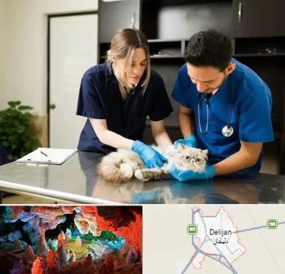 دامپزشکی سیار در دلیجان