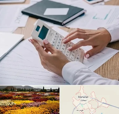 شرکت حسابرسی در محلات